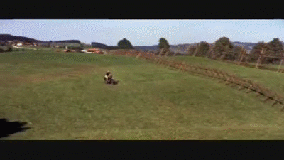 the-great-escape-.gif